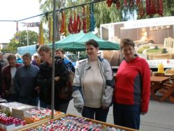 JARMOK 2013
