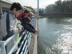 Piešťany 2014