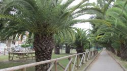 San Benedetto Del Tronto 2015