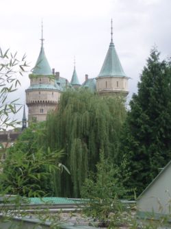 Život v DSS 2013