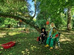 1780574003497